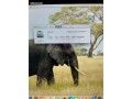 imac-small-3